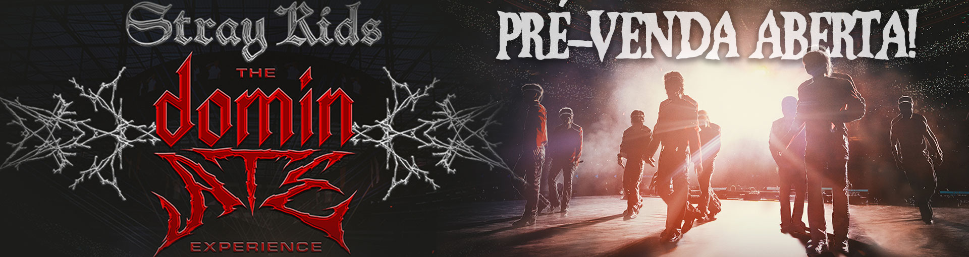 Banner: Stray Kids: The Dominate Experience